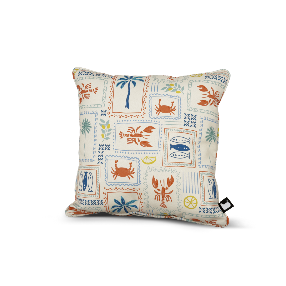 B cushion costal
