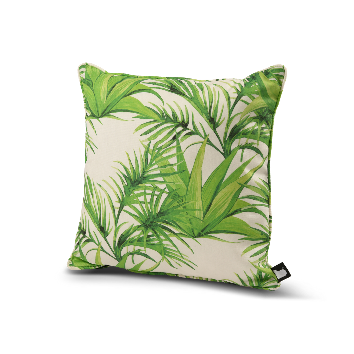 B Cushion Palm
